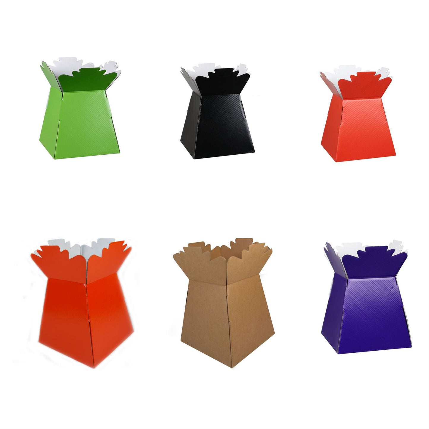1, 5, 10, 30 Living Vase / Transporter Box All Colours
