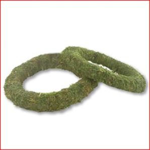 2 Oasis Mossed Ring 10"/254mm(3558)