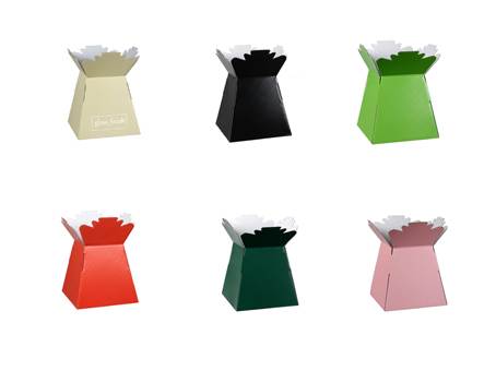 Florist Living Vase Transporter Boxes For Flowers All Colours