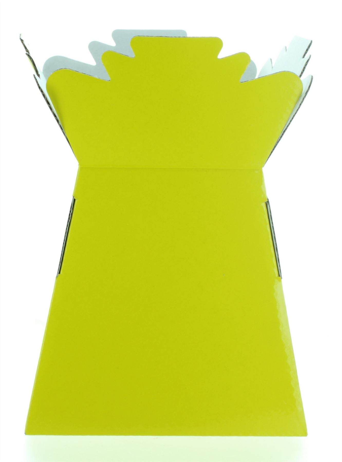 Florist Living Vase Transporter Boxes For Flowers All Colours