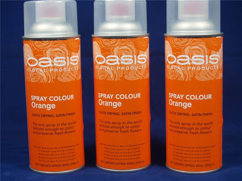Oasis Flower Colour Spray Paint  400ml Can Orange (2906)