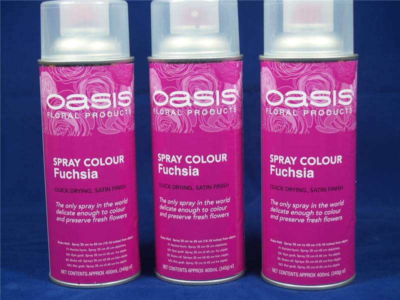 Oasis Flower Colour Spray Paint  400ml Can Fuchsia (2900)