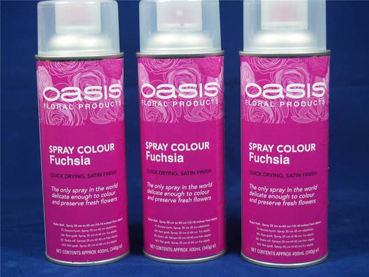 Oasis Flower Colour Spray Paint  400ml Can Fuchsia (2900)