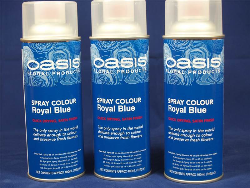 Oasis Flower Colour Spray Paint  400ml Can Royal Blue (2899)